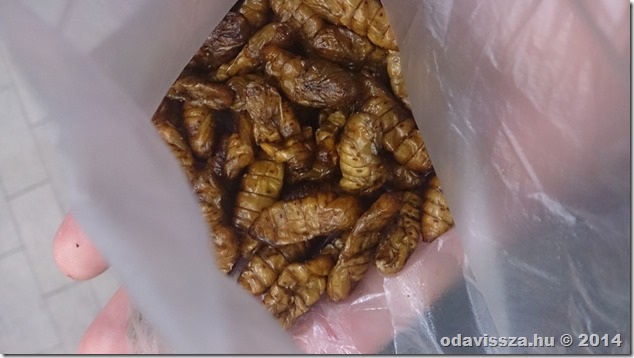 12191753425_0e1199cbb2_b