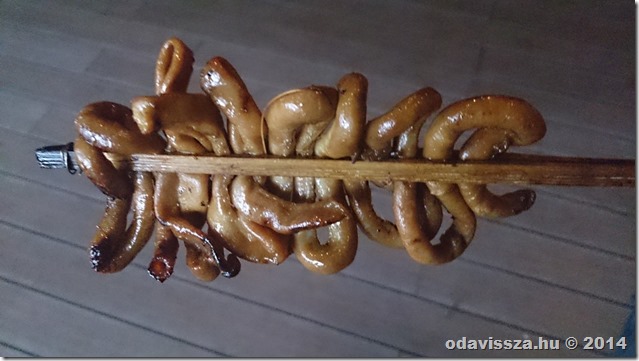 12206871283_29a9440785_b