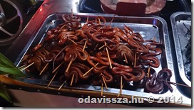 1617776_799173116764996_1981453203_o