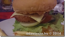 1795019_799197266762581_802388160_o