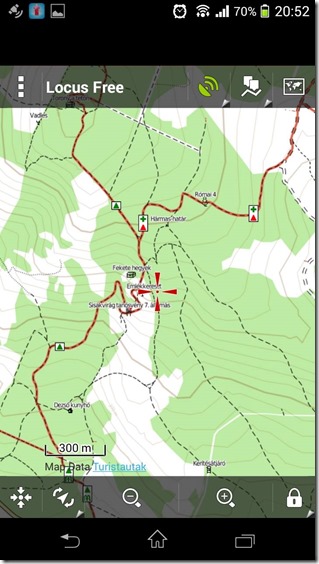 10149009_831742110174763_550674229_o