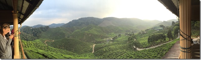Camron Highland panorama